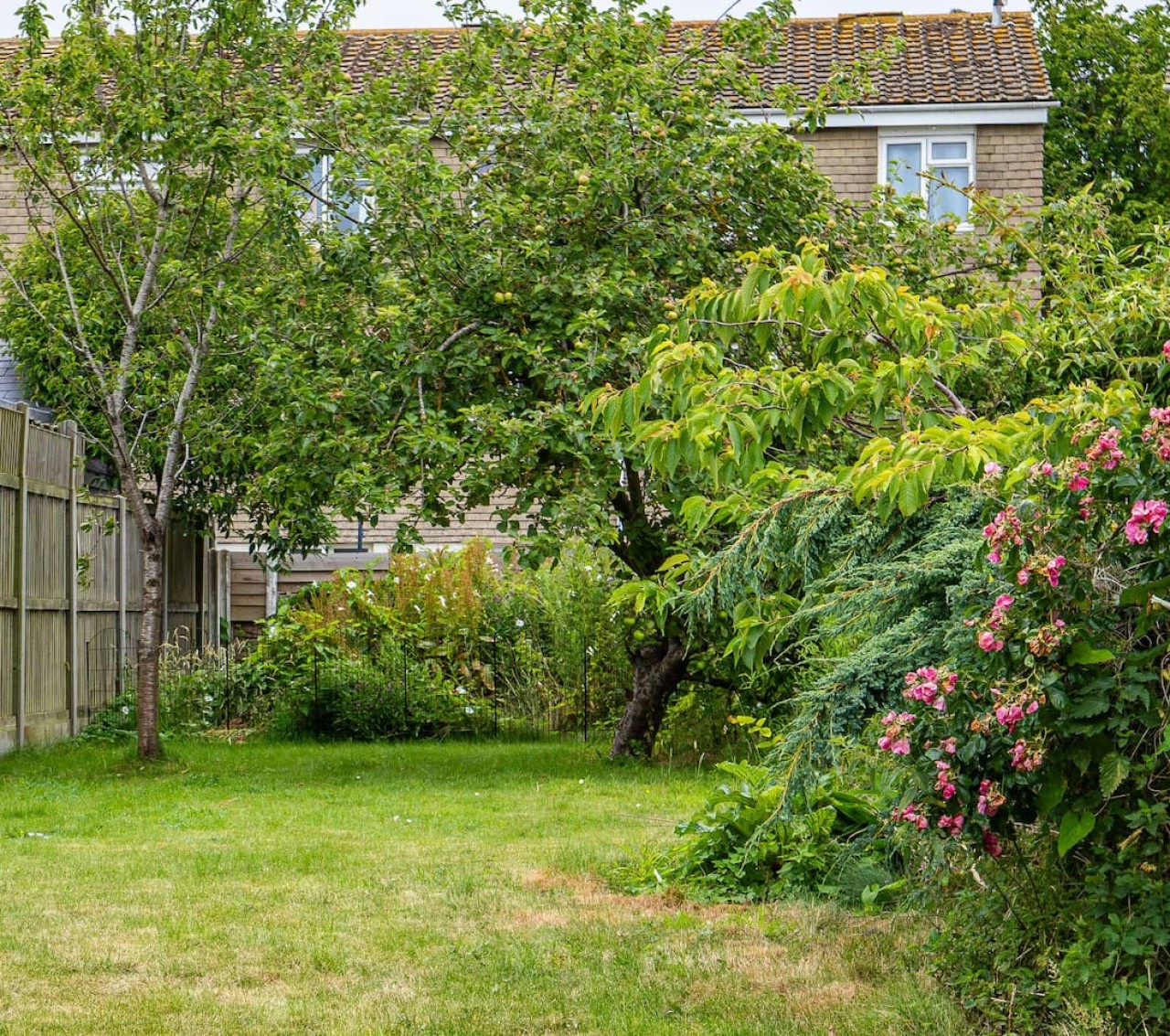 Ursula’s Hideaway in 110 Middle Deal Road - Property image 50 - VivreStays