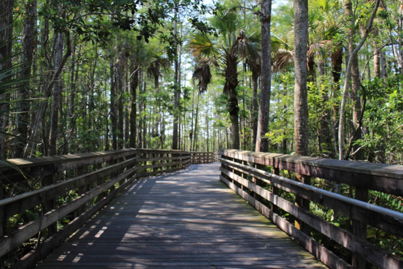 A boardwalk trail winds through a wooded nature preserve, an option for anyone who wants to get outside during the stay.