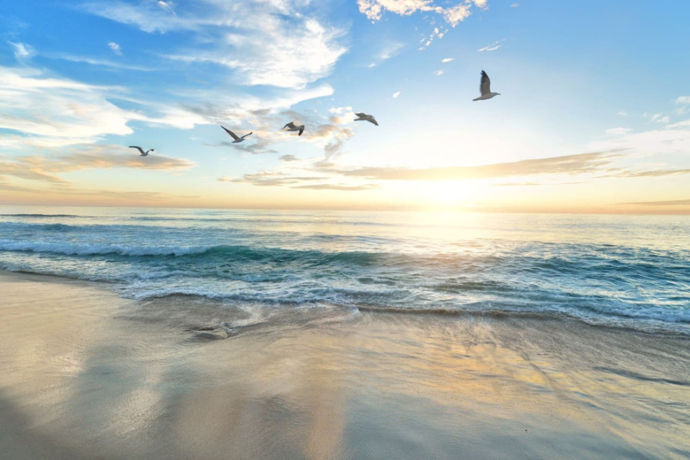 A general stretch of Florida coastline, meant to give a feel for the shoreline nearby rather than show a specific landmark.