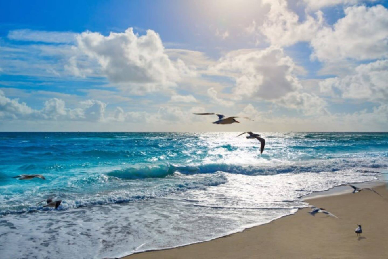 Riviera Beach, though this particular shot is a general shoreline photo rather than an image tied to a specific spot.