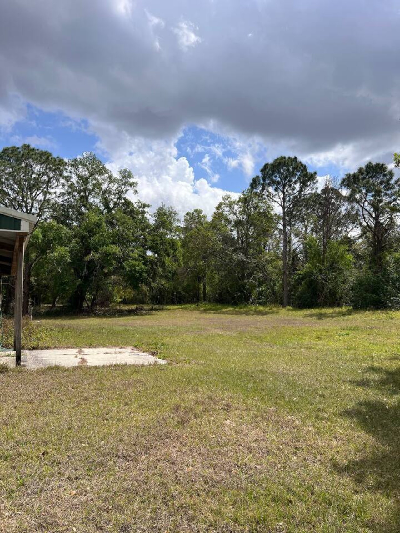 Open, flat grass beside the stable and the big oak, room to set up chairs, a game, or nothing at all.