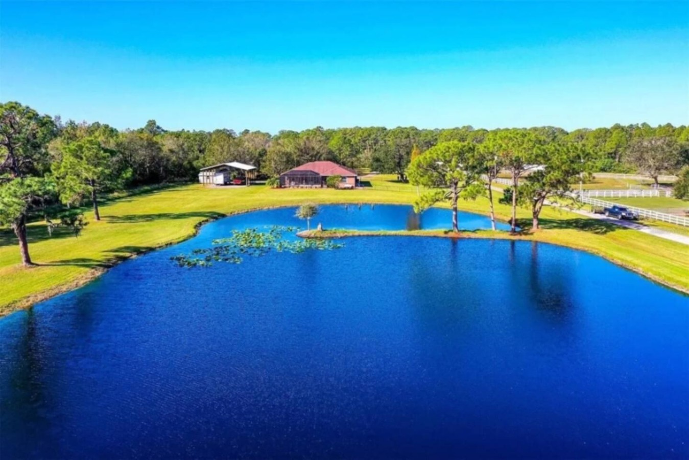 The pond again, this time with more of the tree line visible, Spanish moss draping from branch to branch along the water's edge.
