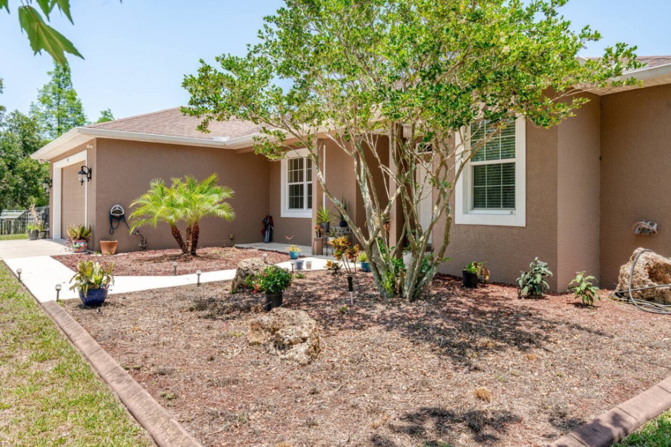 Palms line the front of the house, a warm-weather welcome before you've even reached the door.