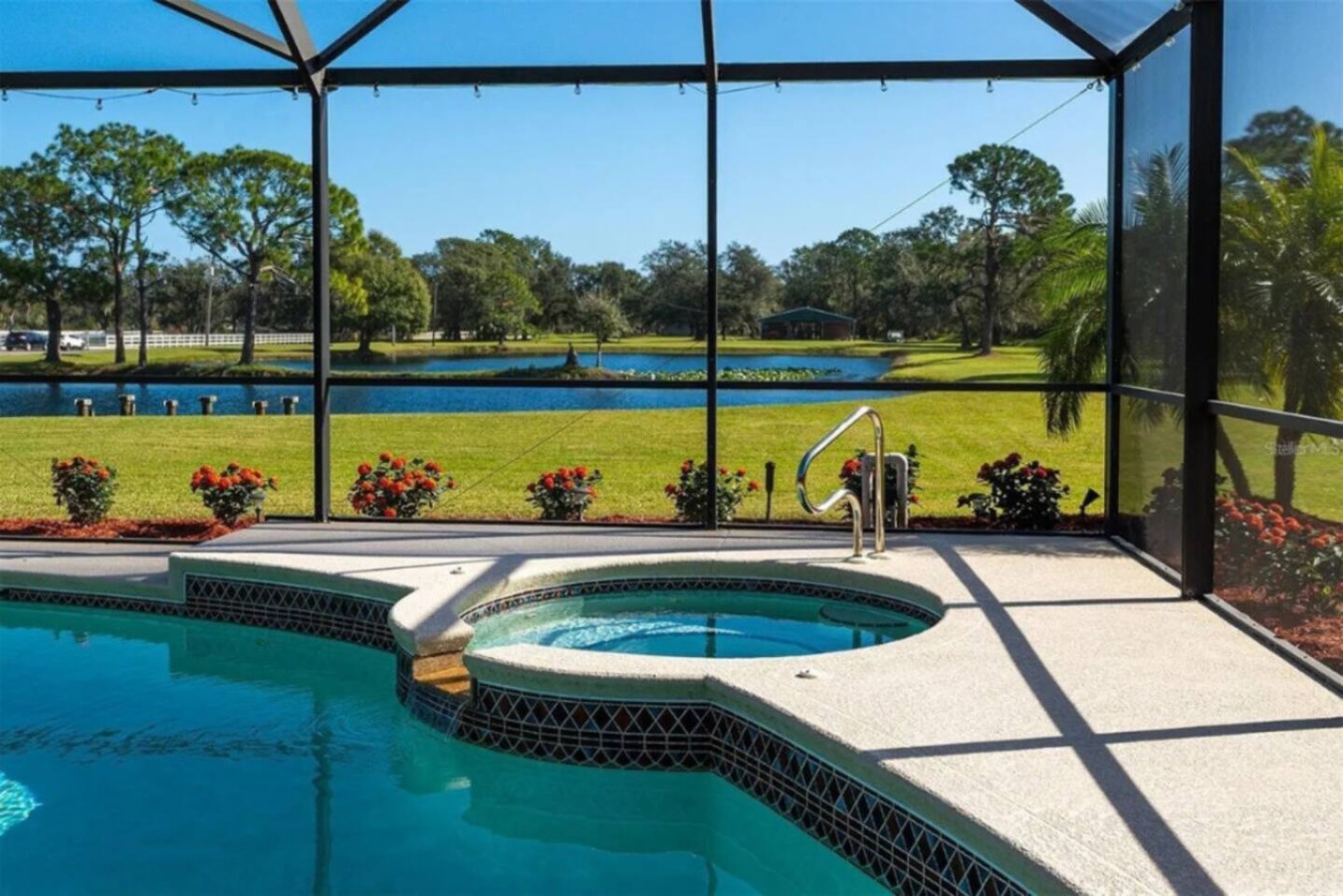 Poolside once more, this time framed by the oaks along the far bank of the pond.