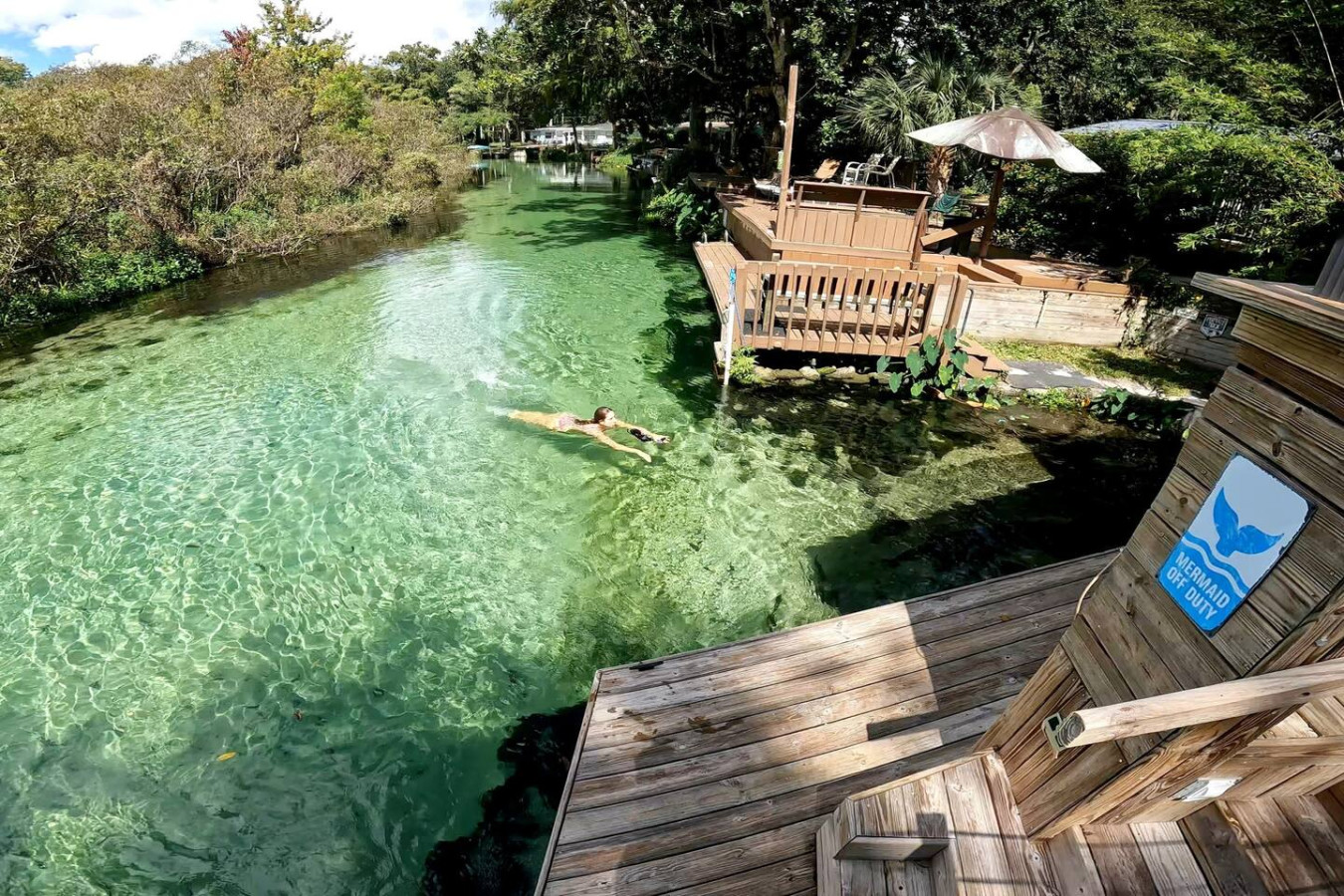 A swimmer in the clear spring-fed water beside the dock