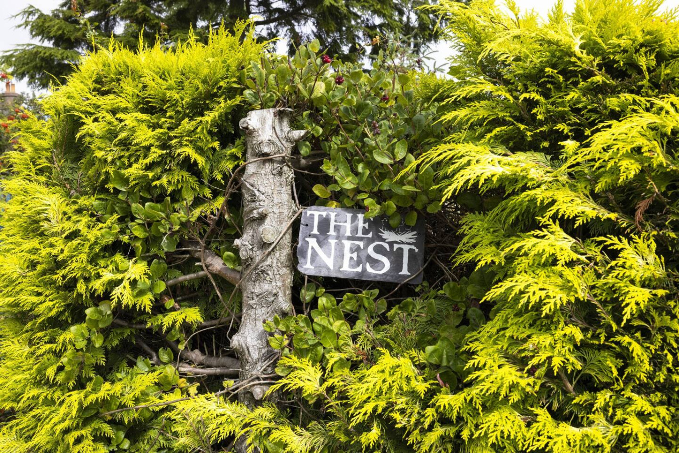 The Nest - Cosy Holiday Cottage in The Nest, Southbank, Errol, PH27QS - Property image 26 - VivreStays