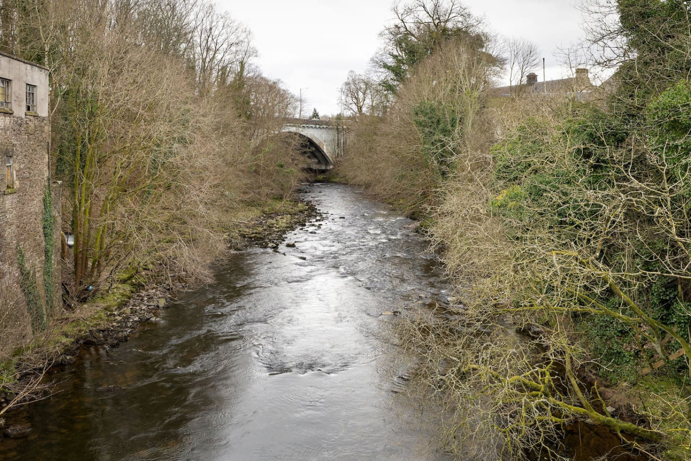 Bridgend Studio - Near Free Parking in Bridgend 2A - Property image 18 - VivreStays