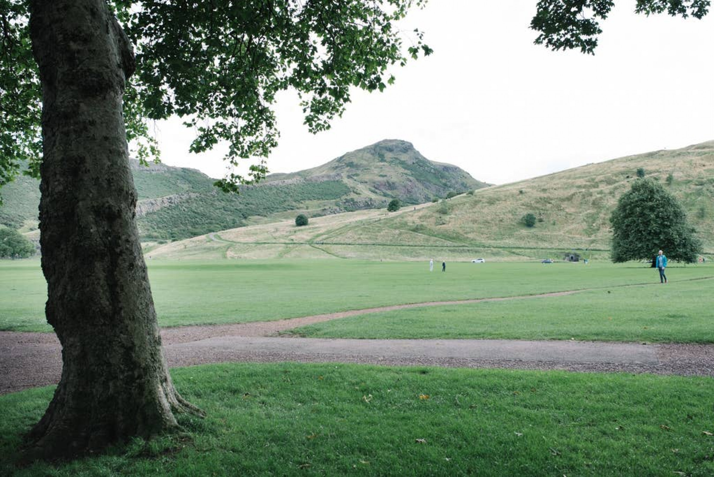 Beautiful Holyrood Park Apartment -Near Royal Mile in 21 Milton Street 1F2, EH88HA, Edinburgh - Property image 10 - VivreStays