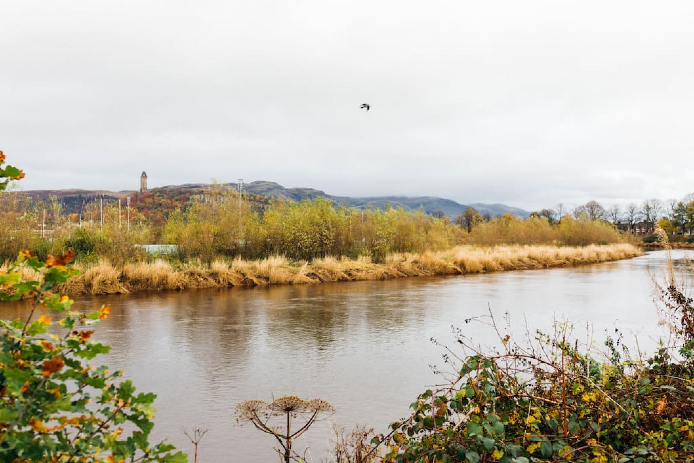 The Riverside Apartment (free parking) in 28 Alexandra Place, FK81UN, Stirling - Property image 20 - VivreStays