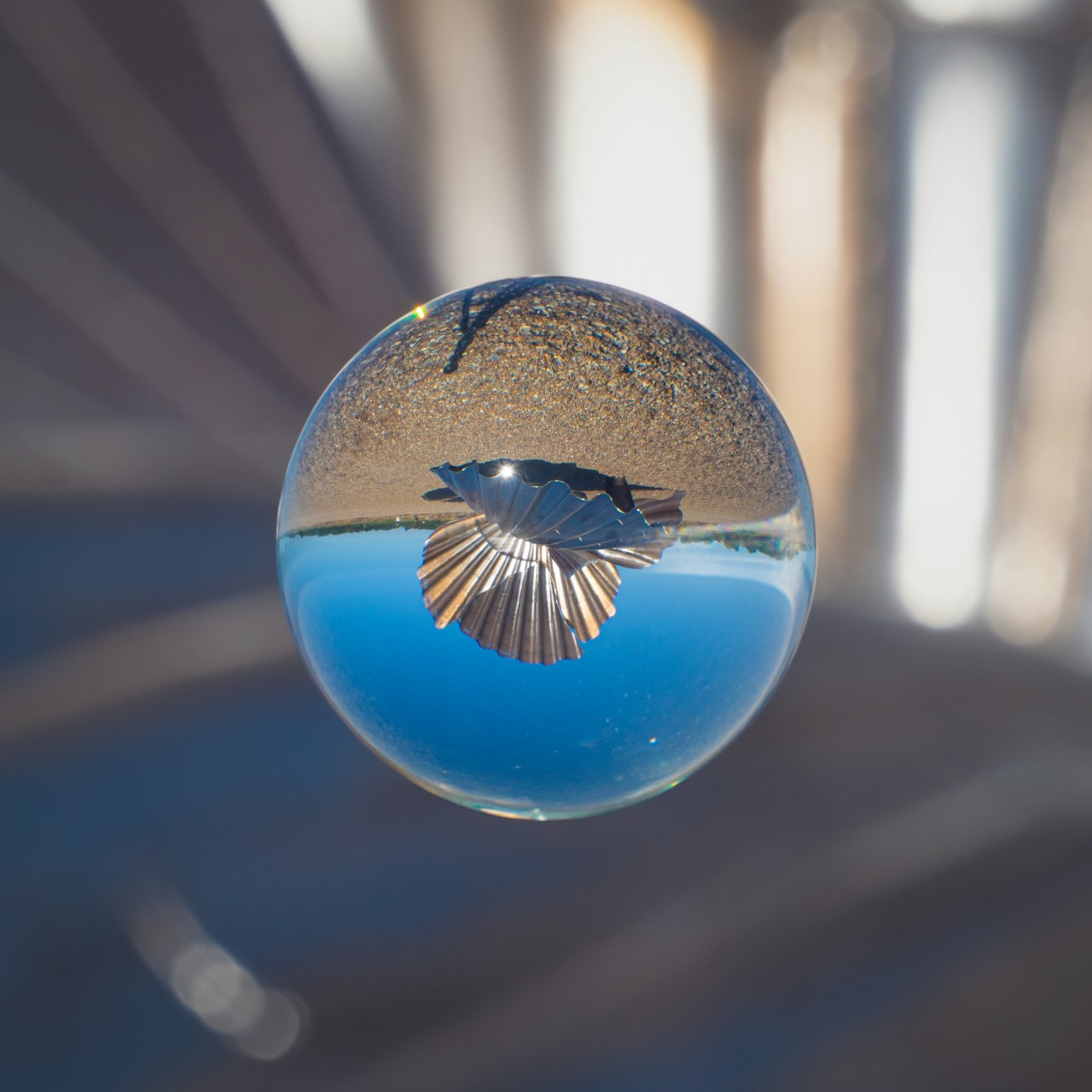 02-aldeburgh-sea-scallop-william-warby.jpg