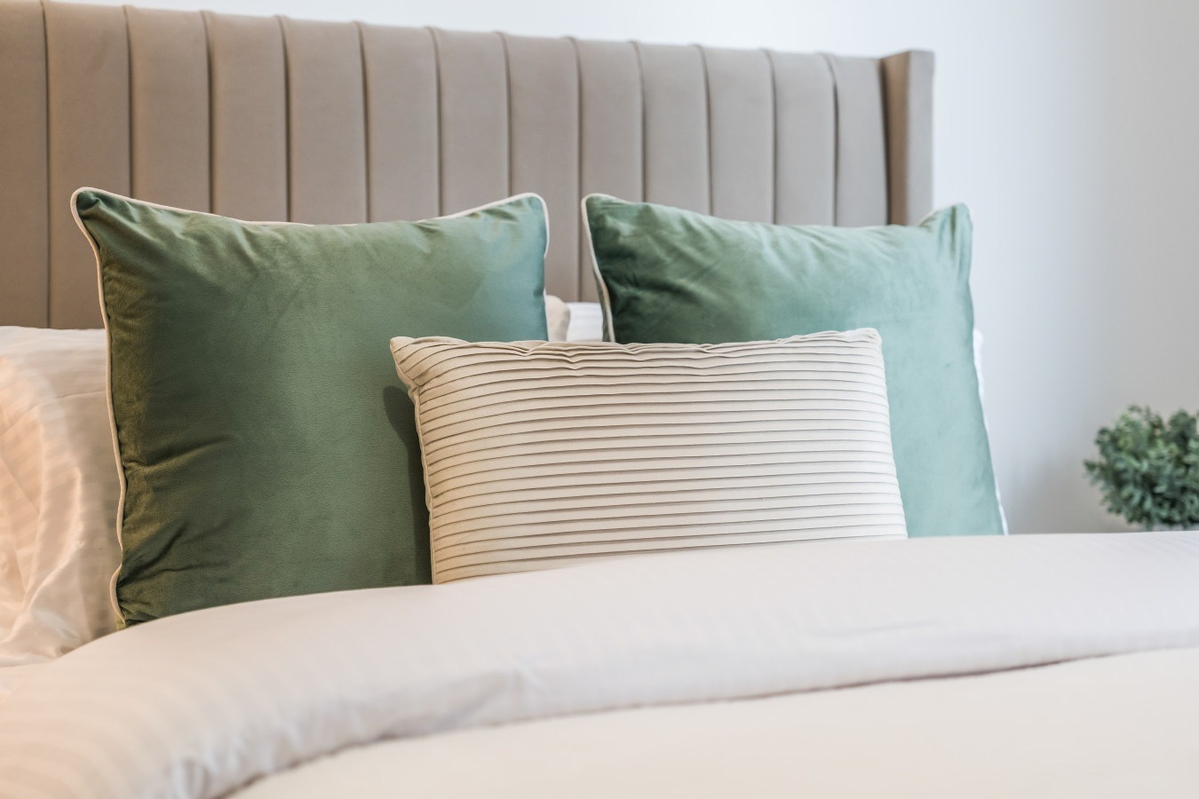 Riverside Retreat | Free Parking | 2BR | Station in Elmsleigh Road - Property image 25 - VivreStays