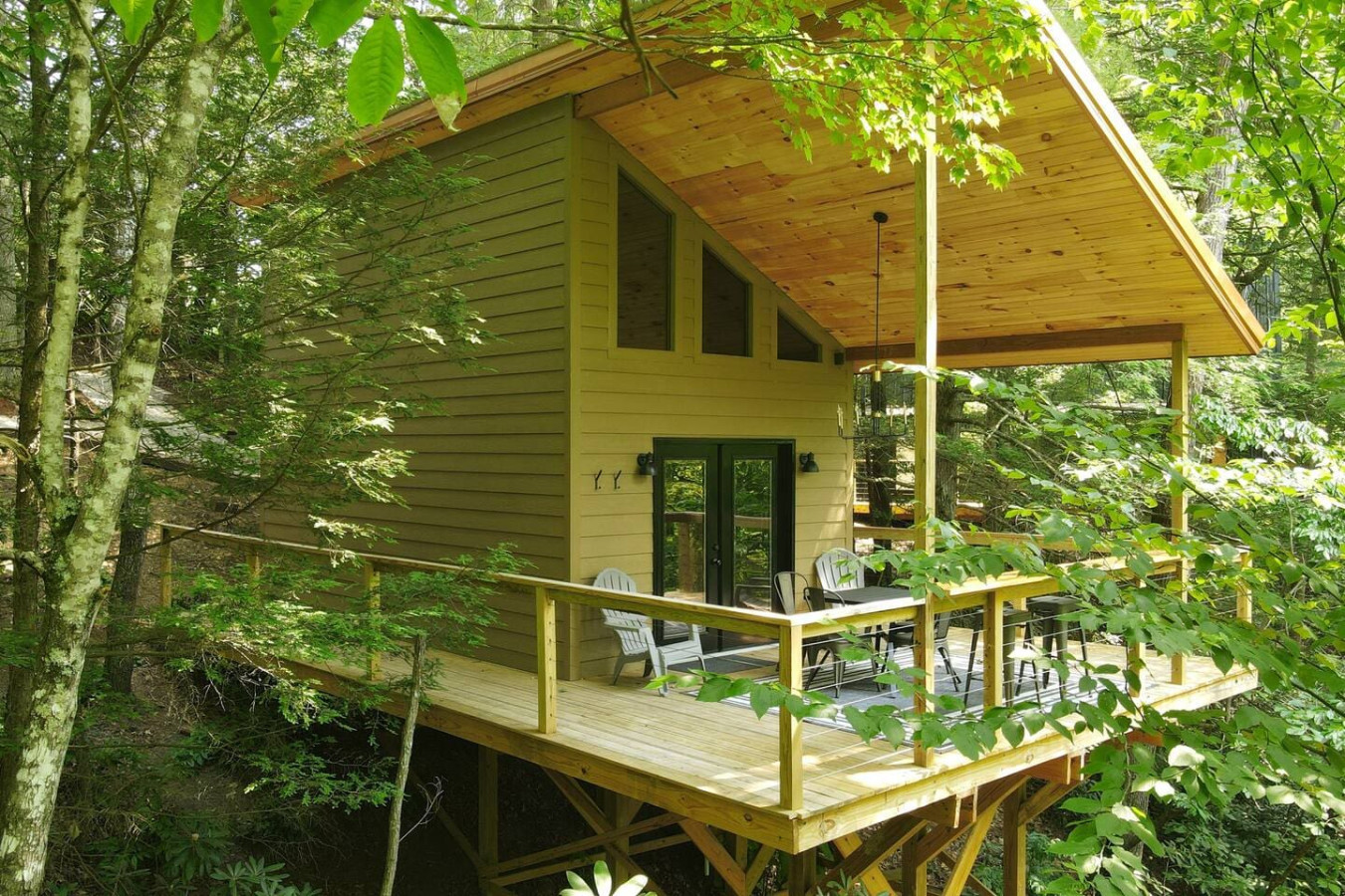 Squirrel Kit-TreeTop Cottage