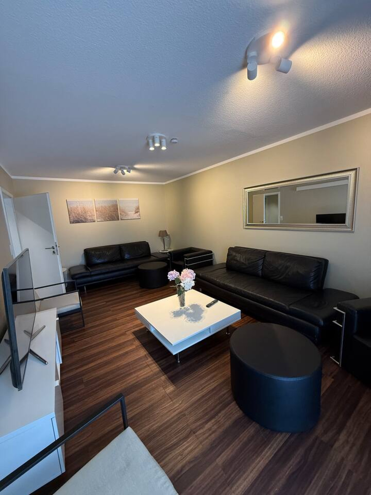 Möblierte 145-m²-Premium-Wohnung CF30 in Heidelberg Stadtmitte