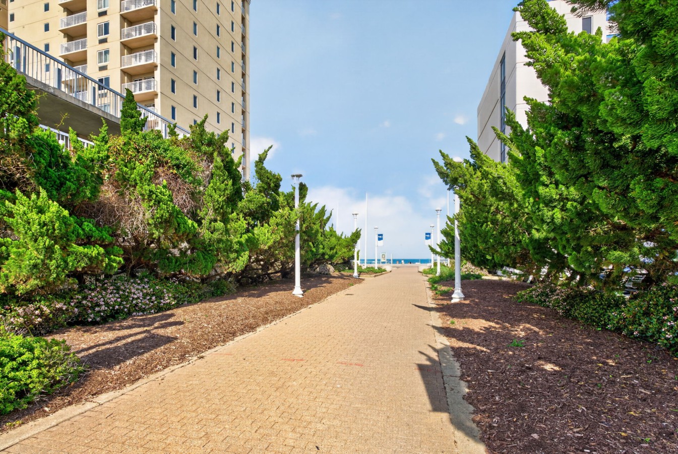Path .jpg