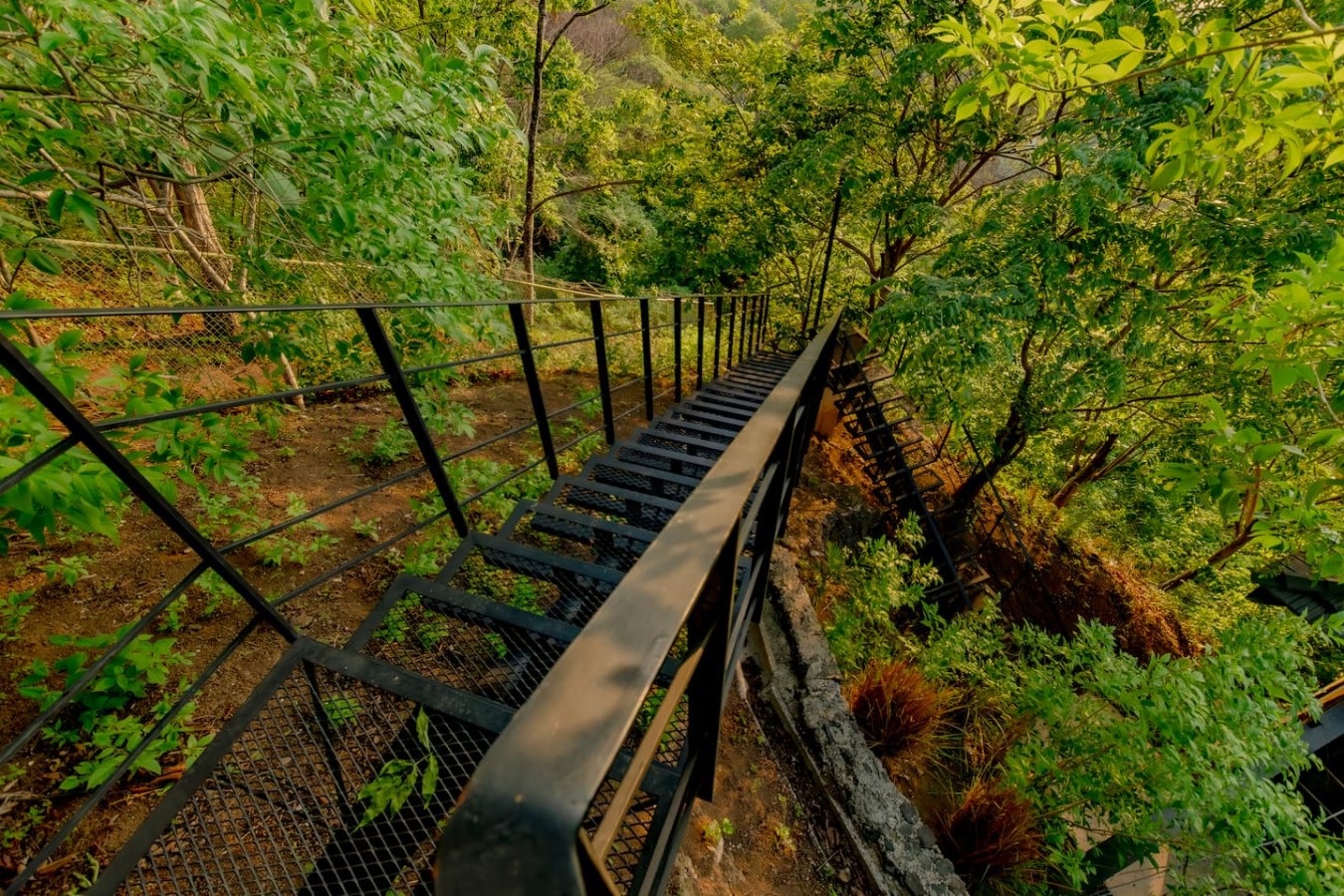 Discover our recently landscaped backyard, leading to the bungalows! These stairs offer safe footing, excellent traction, & sturdy rails, ensuring your secure ascent. Explore nature with peace of mind. Your Costa Rican adventure path awaits!