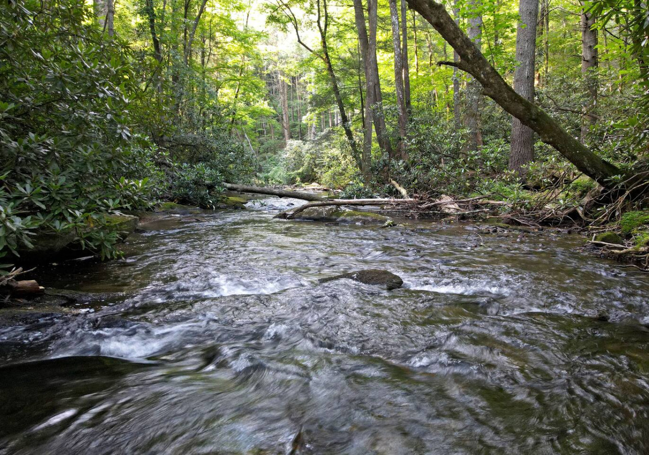 Riverbend Den | 2BR Creekfront Cabin Rental | Blue Ridge GA | Creekfront Living