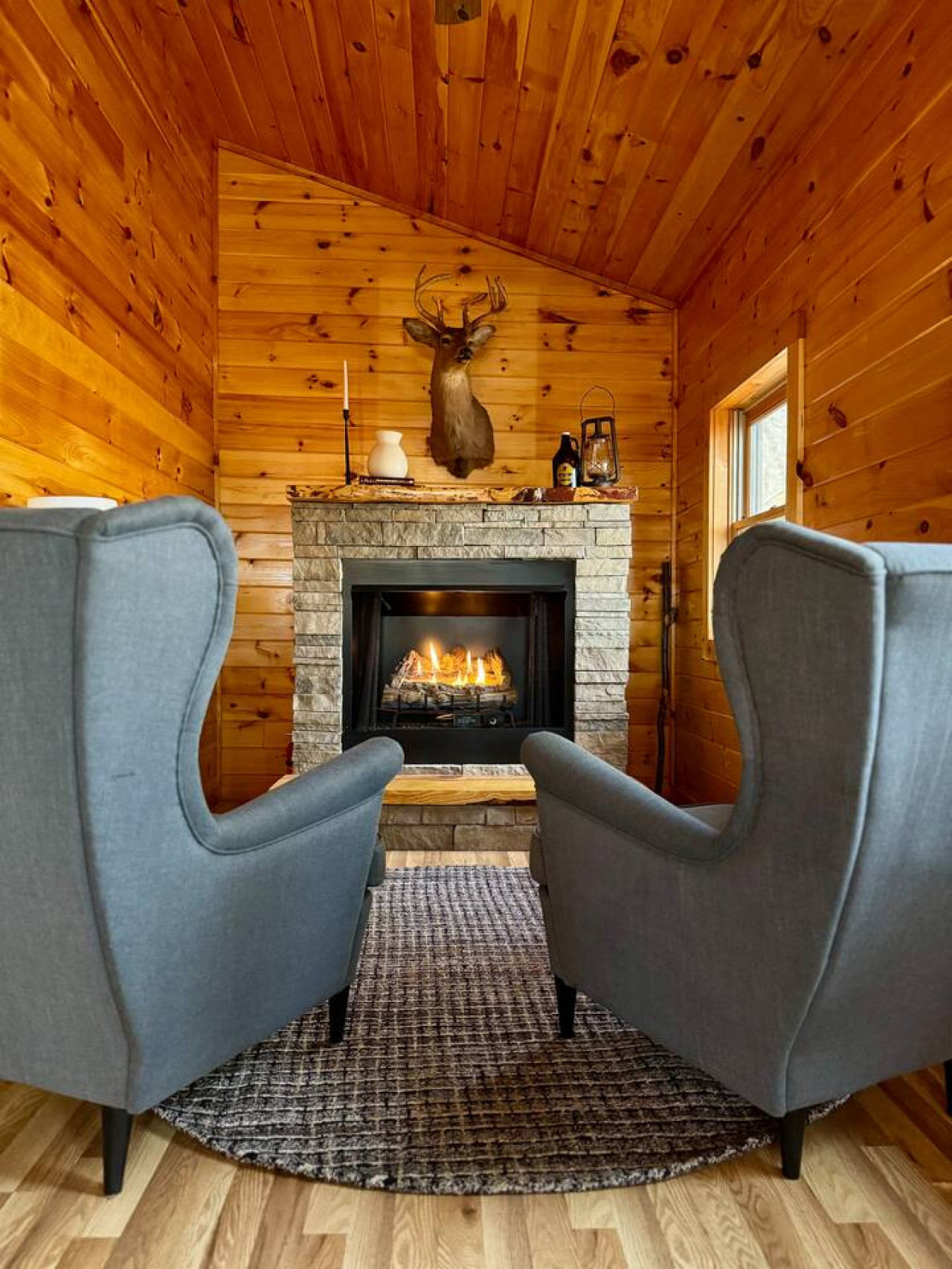 The Tree House | 2BR Cabin Rental| Wifi| Blue Ridge & Blairsville 3