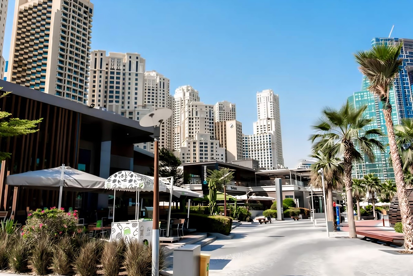Outdoor Dining Paradise: Enjoy vibrant city views and palm-lined paths in the heart of Dubai!