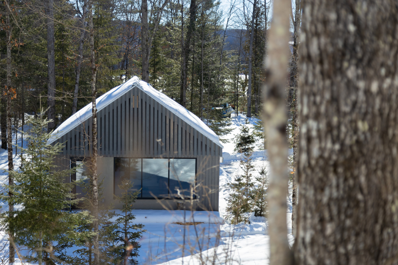 Wildflower Rest at Dimensions | Cabin Fifteen