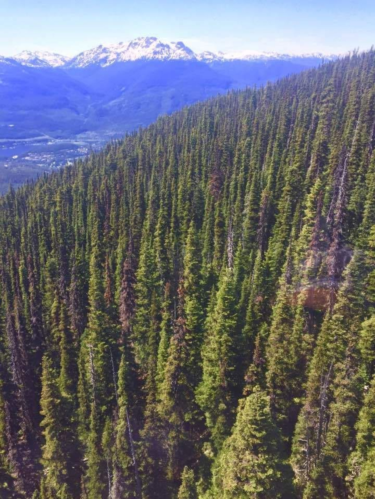 Heart of the Village - Luxury 1 Bedroom + loft | Photo 24