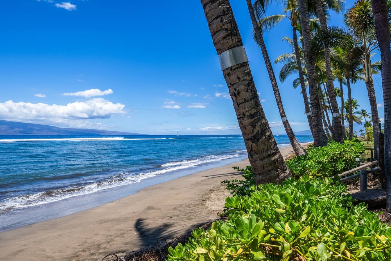 Lahaina Shores Beach Resort, Ocean Views Sleeps 5
