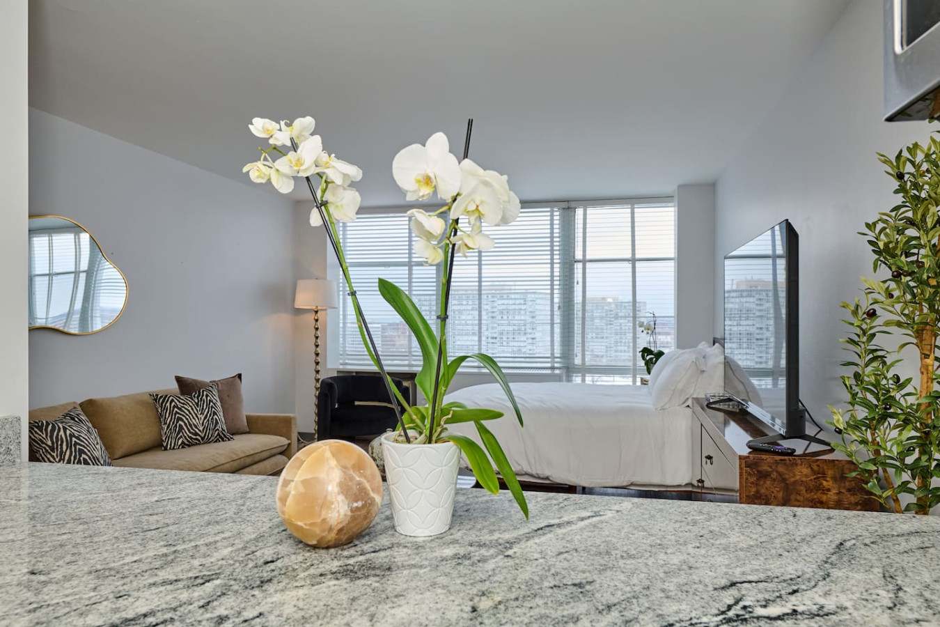 Pet-Friendly Studio | Gym & Rooftop