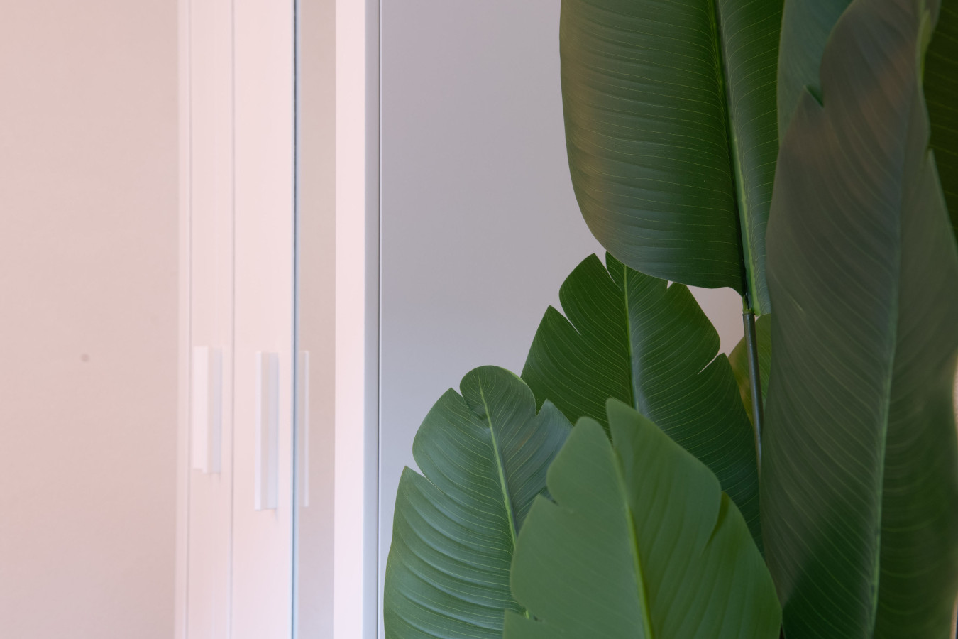 The line Apartment in Zurich Oerlikon photo