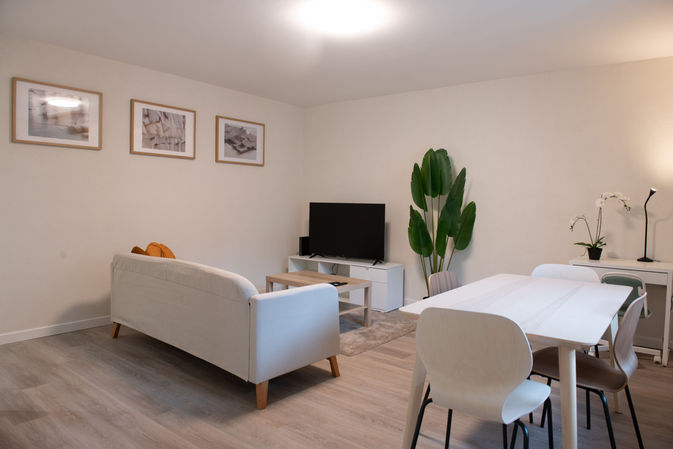 Pure living Apartment in Zurich Oerlikon photo