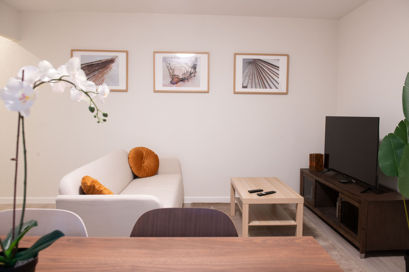 Golden Harmony in Zurich Oerlikon photo