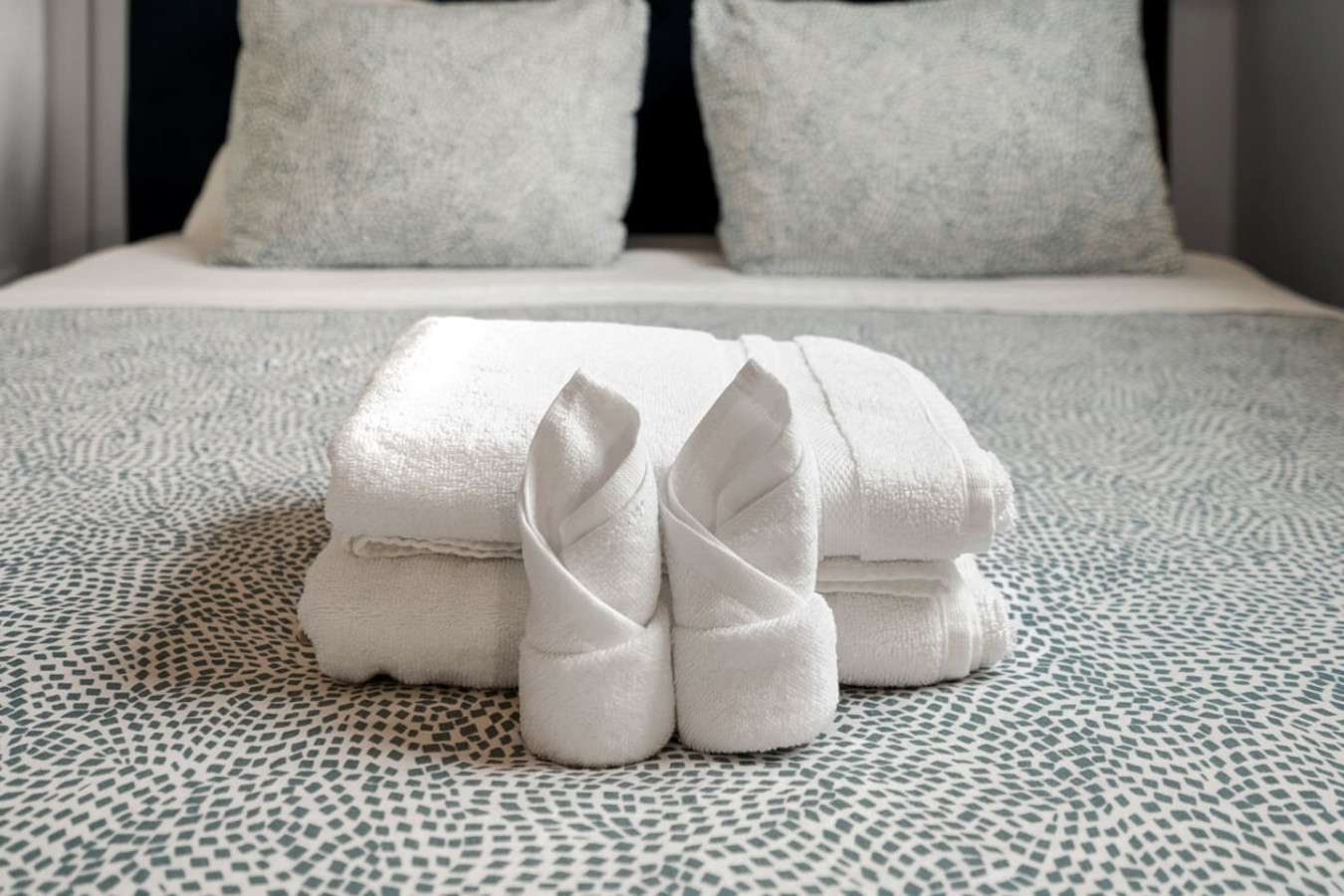 Budget Private Room Near Genentech2 – Monthly Stay photo 7