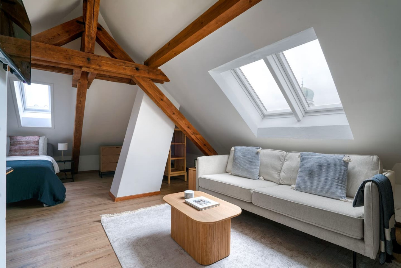 COSY Suite