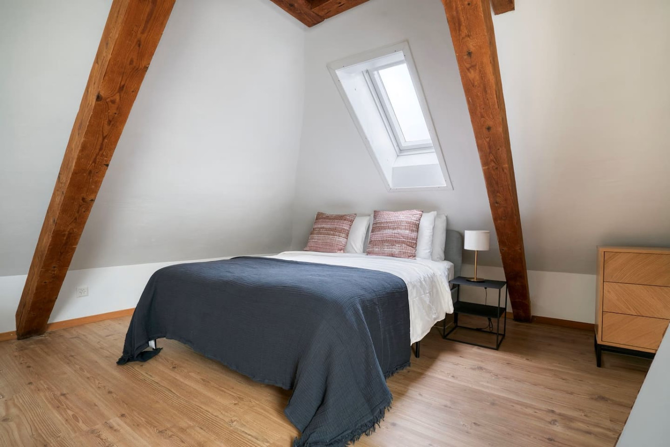 COSY Suite