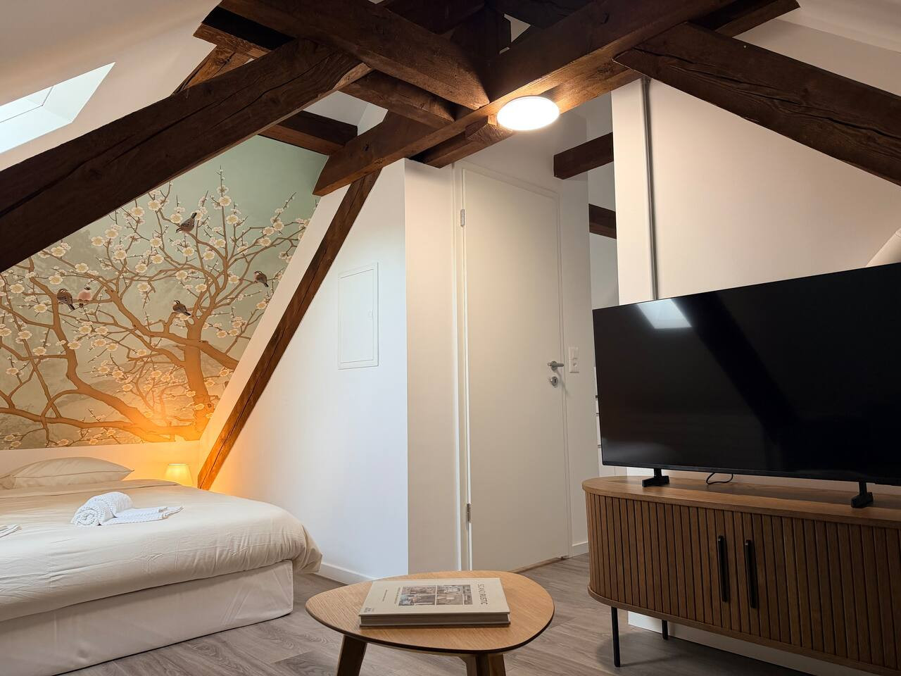COSY Suite