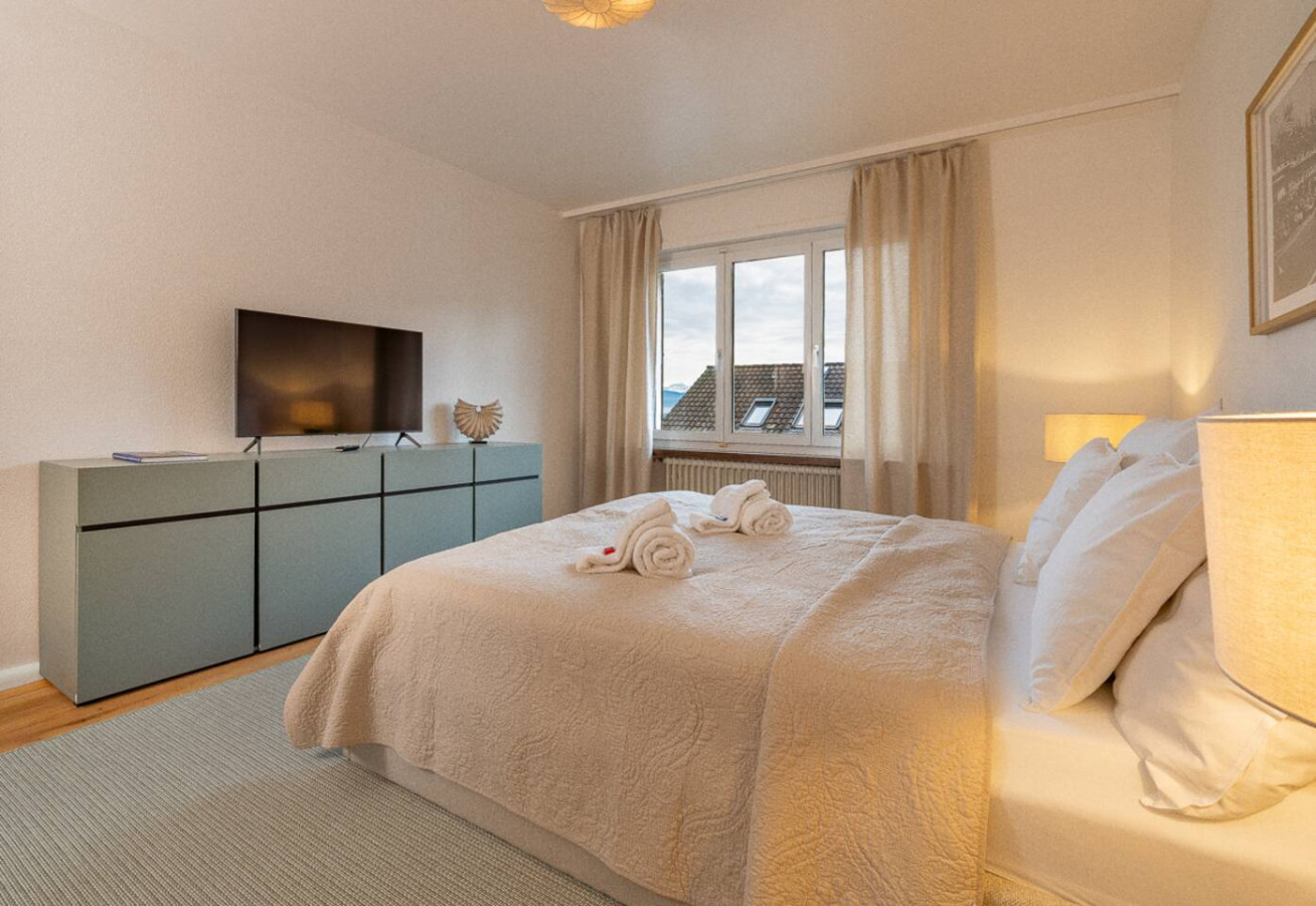COSY Suite