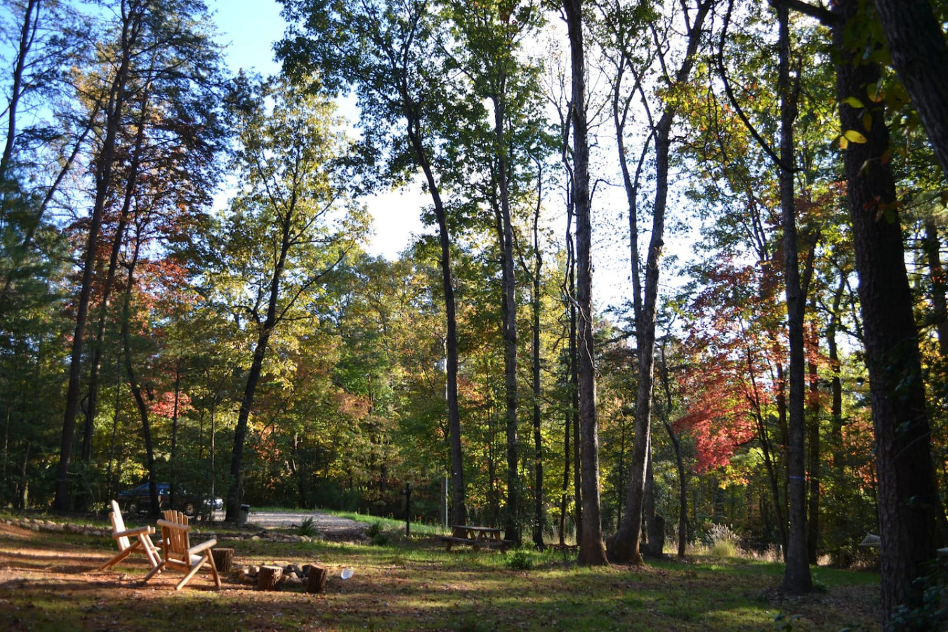 Glamping Dome at Traphill