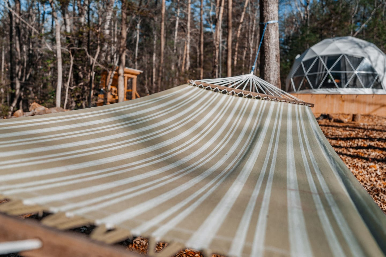 Glamping Dome at Traphill