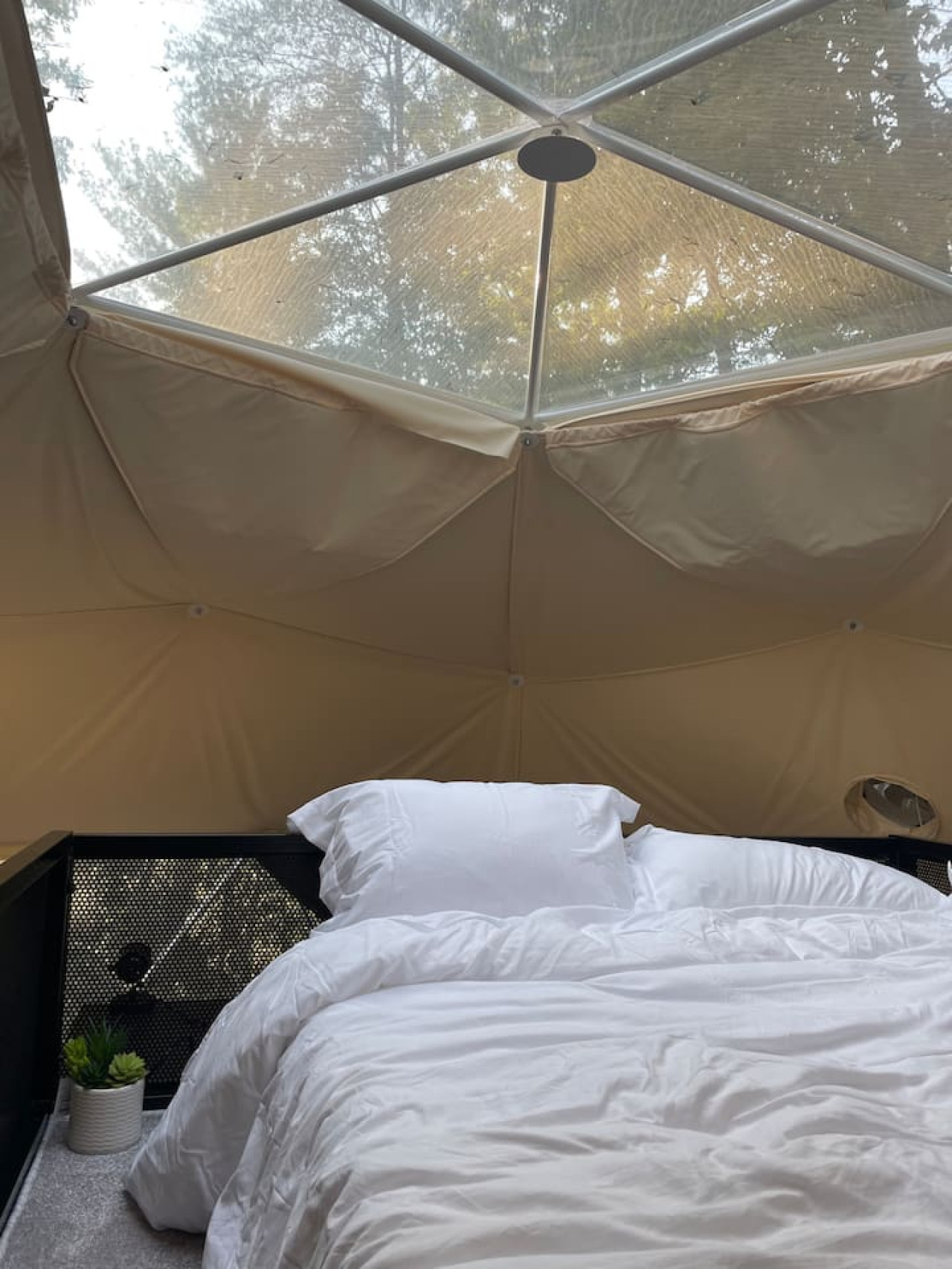 Glamping Dome at Traphill