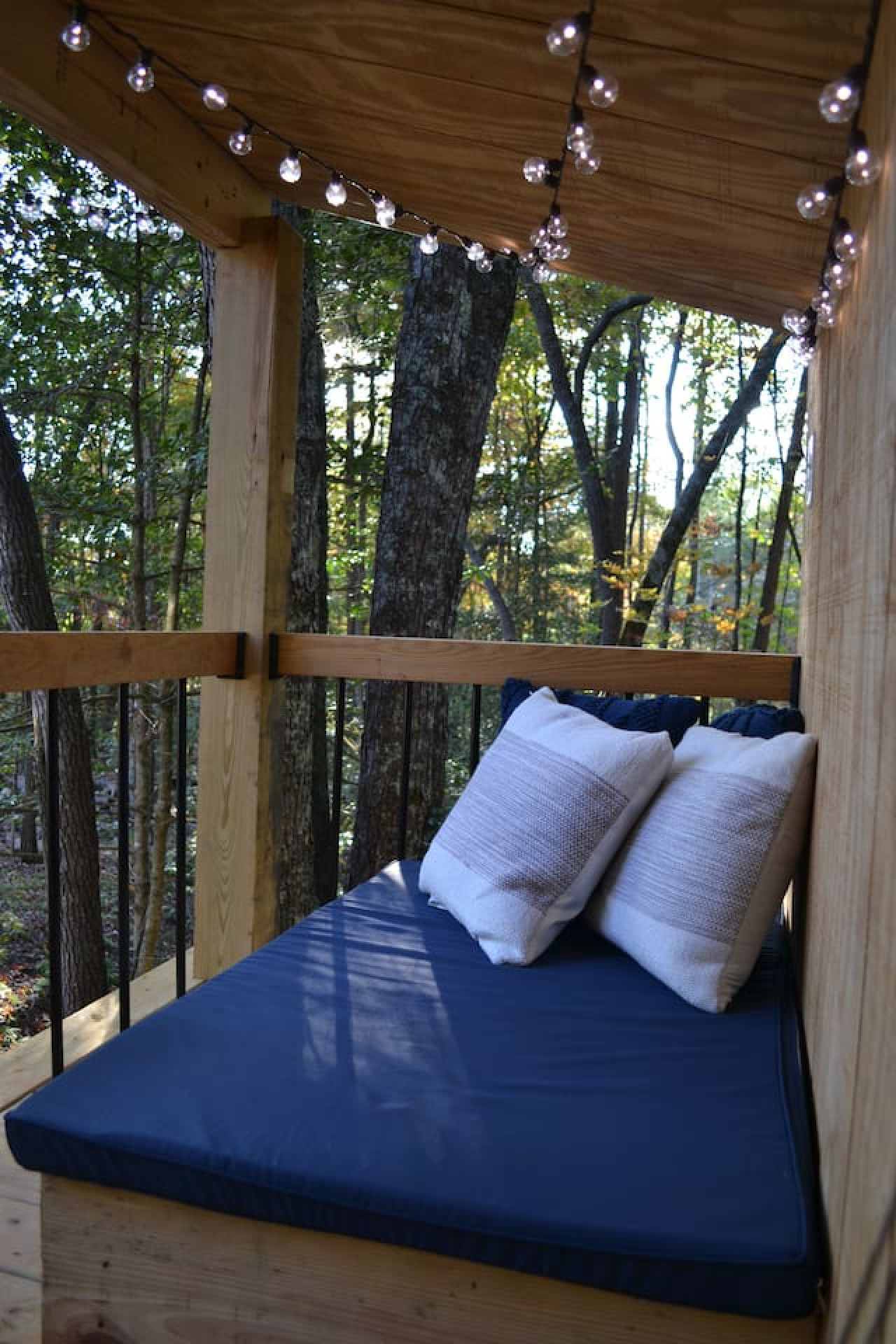 Glamping Dome at Traphill