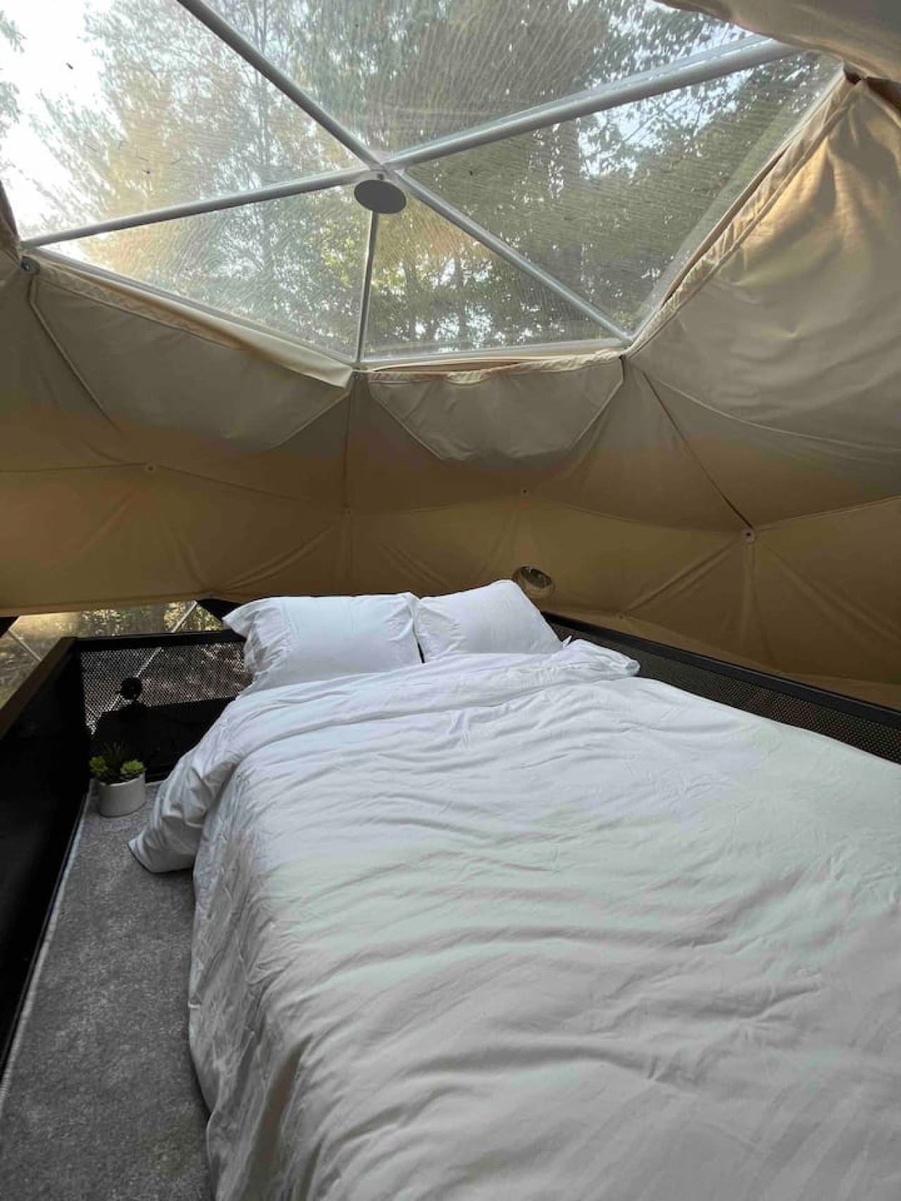 Glamping Dome at Traphill