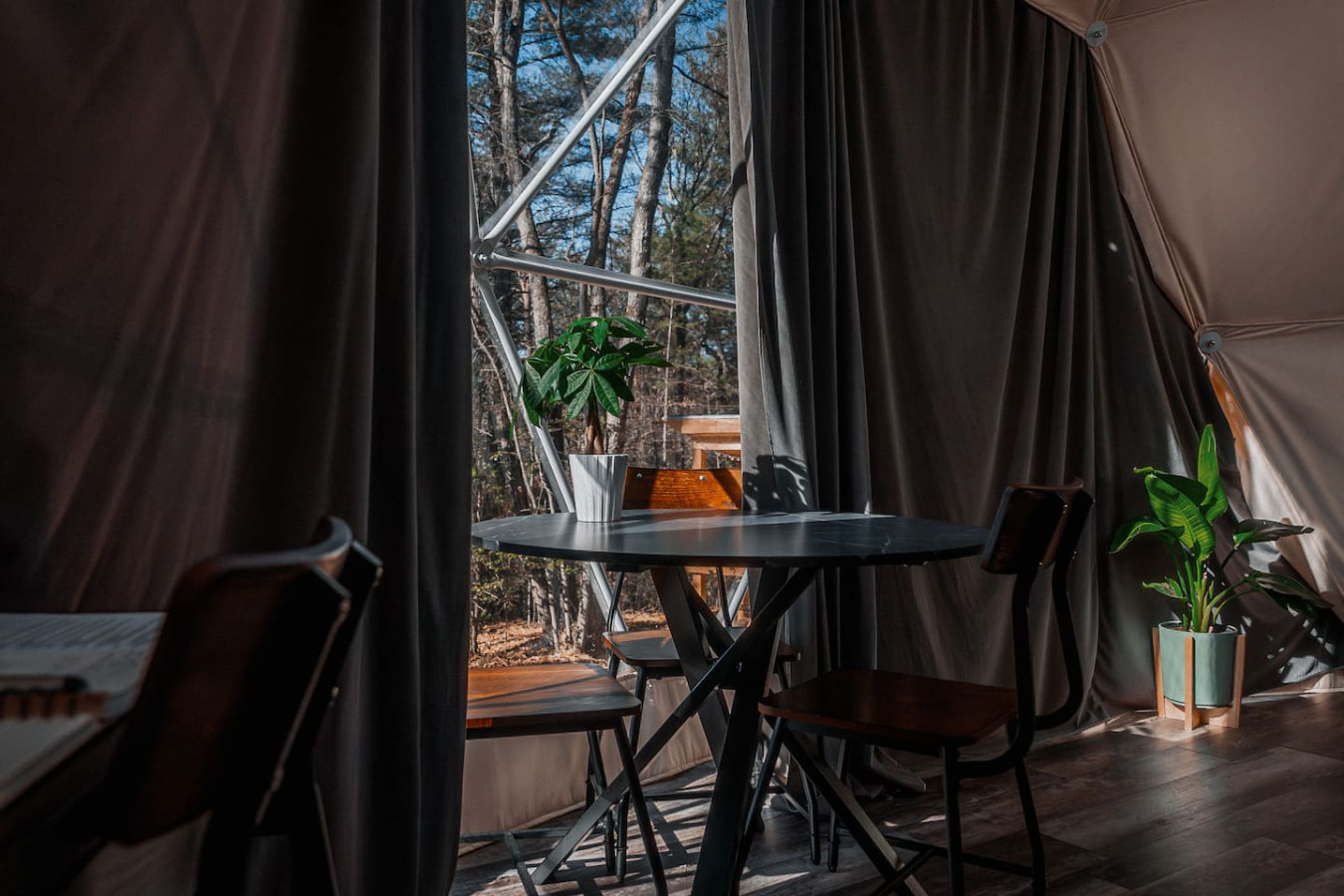 Glamping Dome at Traphill