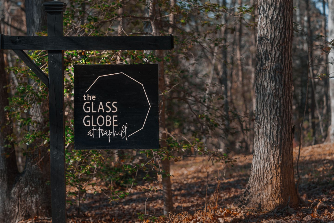 Glamping Dome at Traphill
