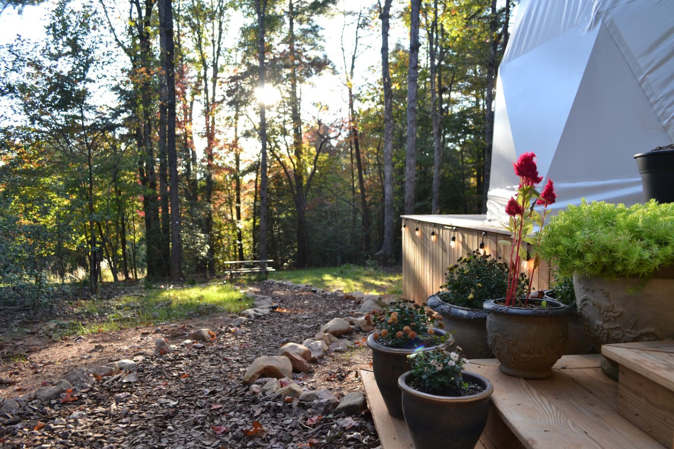 Glamping Dome at Traphill