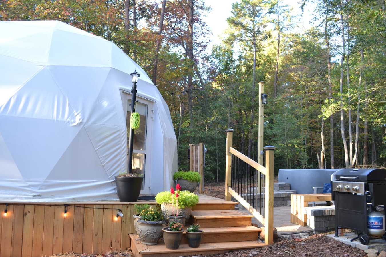 Glamping Dome at Traphill