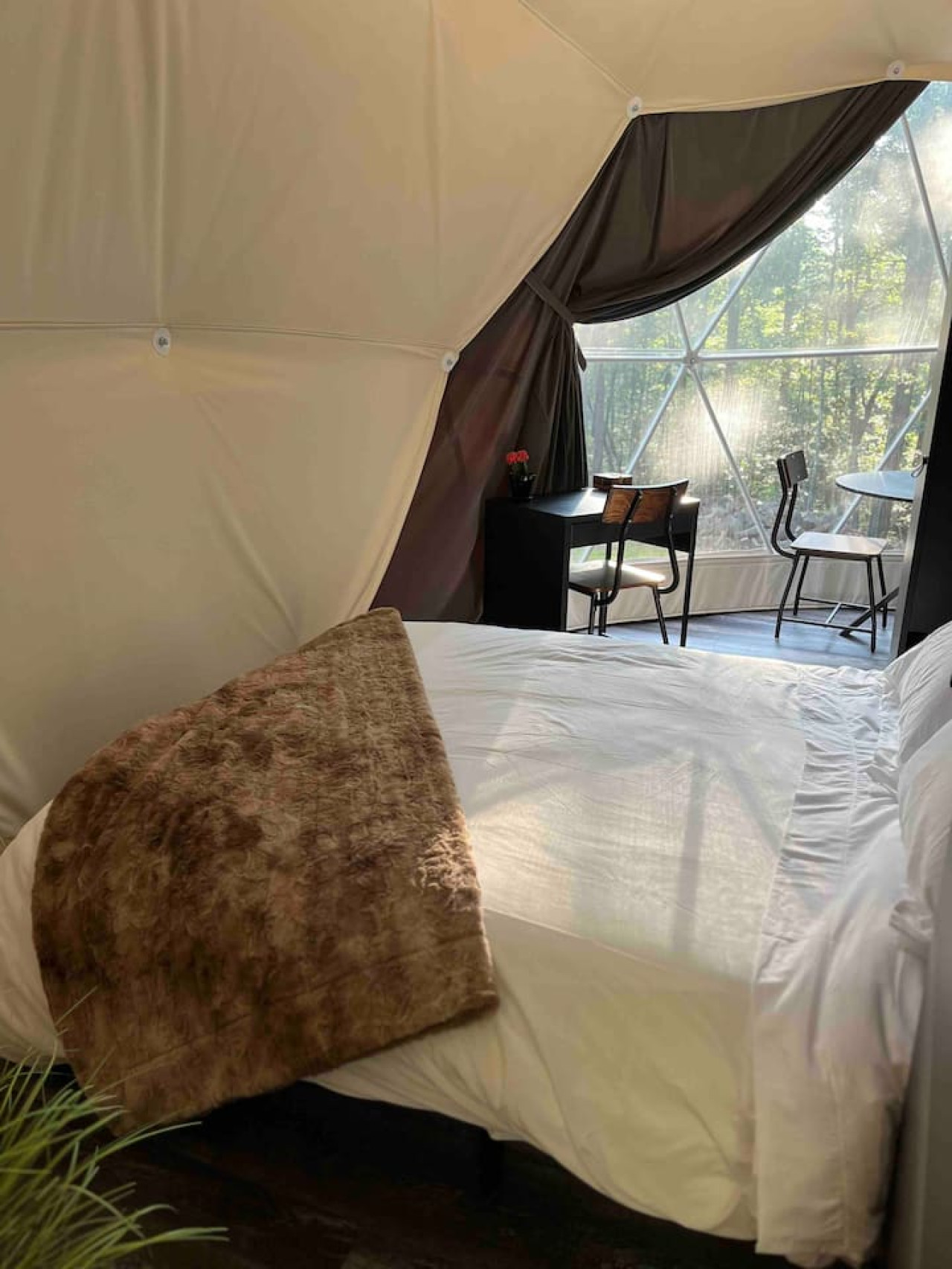 Glamping Dome at Traphill