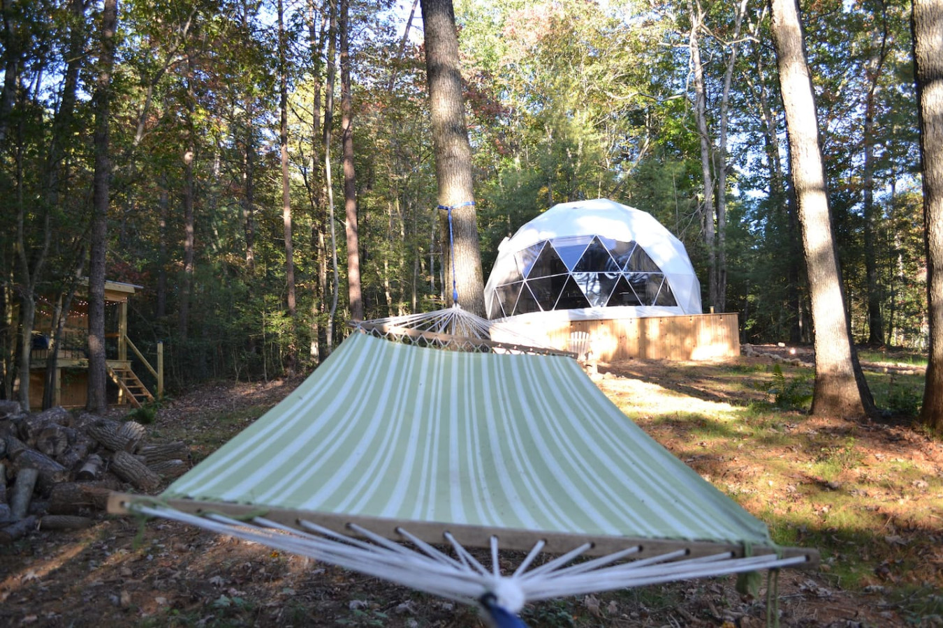 Glamping Dome at Traphill