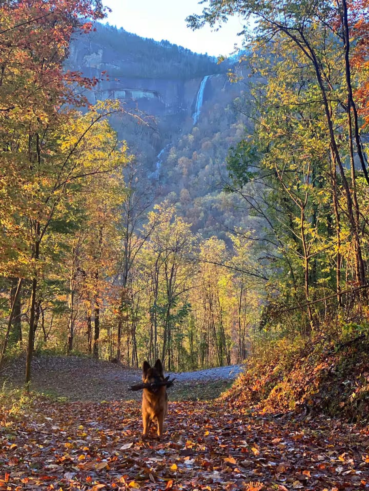 Cottage at Chimney Rock