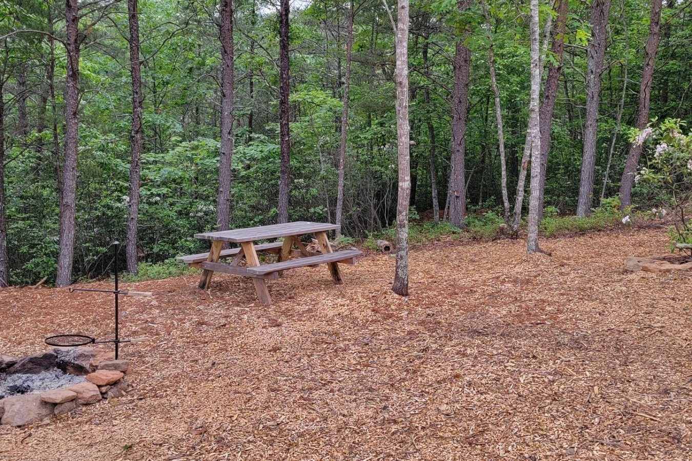 Glamping at Lenoir — Site 2