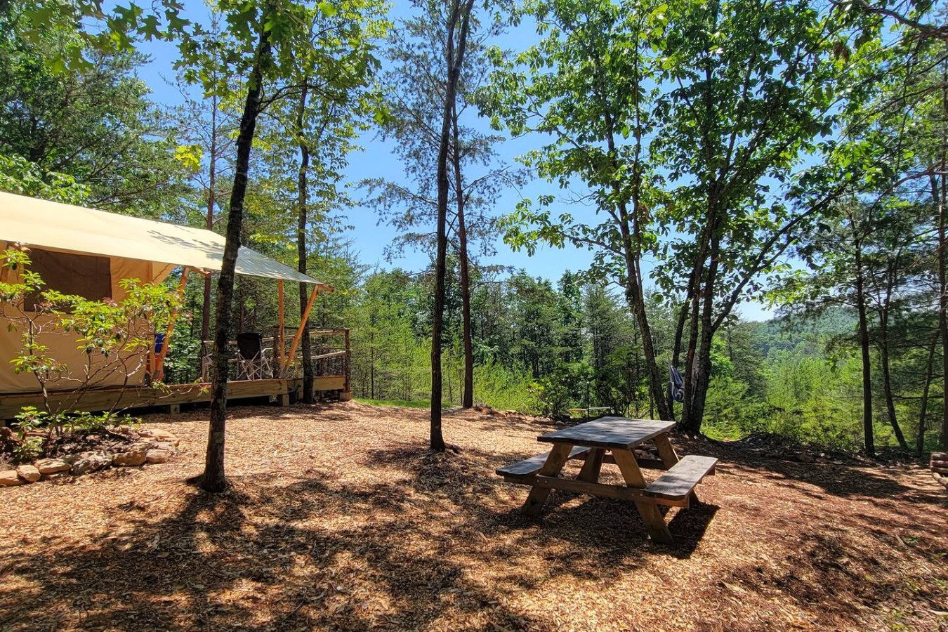 Glamping at Lenoir — Site 2