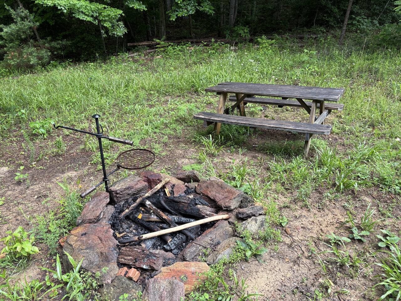 Hidden Meadow Retreat | Ponds, Stars & Solitude Site 3