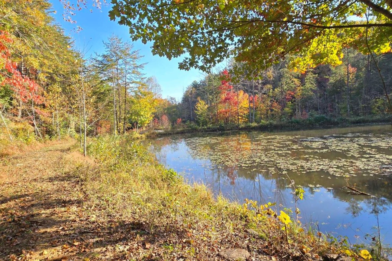 Glamping at Lenoir — Site 3